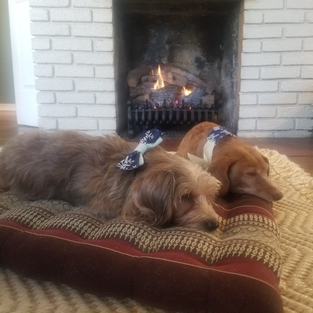 Meet your Posher, Jenessa Mae